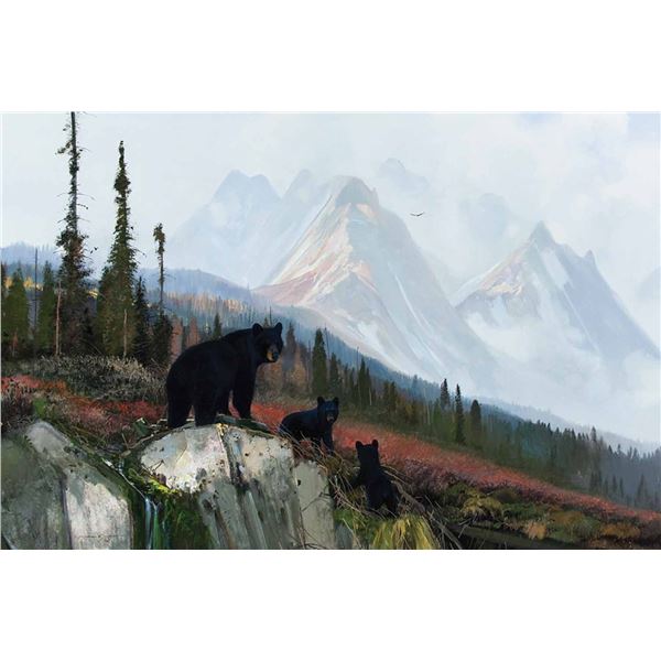Michael Coleman-Three Black Bears