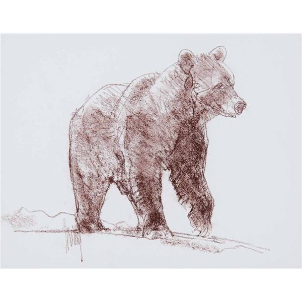 Bob Kuhn-Bear Drawing