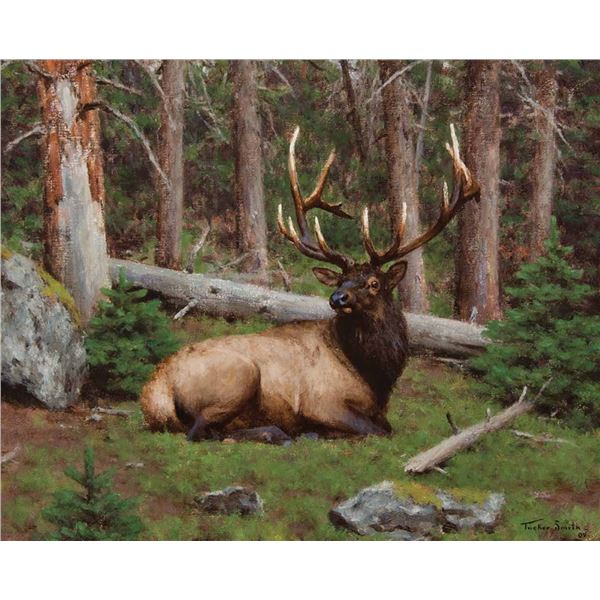 Tucker Smith-Deep Timber