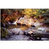 Image 1 : Mark Boedges-August Creek