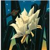 Image 1 : Ed Mell-Night Bloom