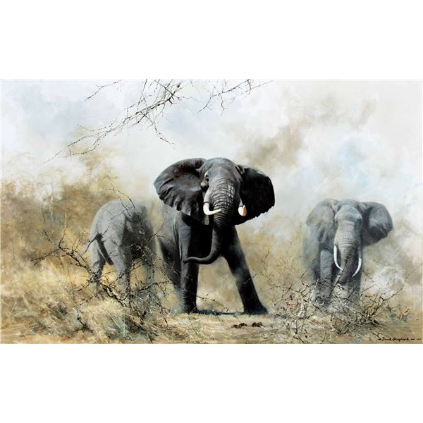 David Shepherd-Elephants of Samburu