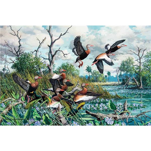 Harry Curieux Adamson-Ballet - Black-Bellied Whistling Ducks
