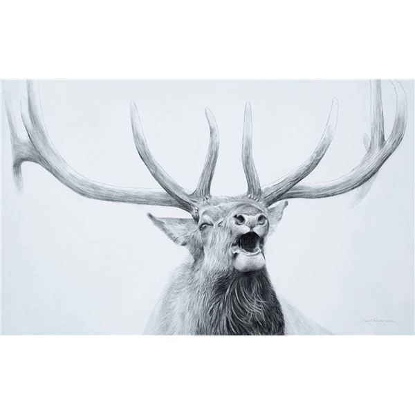 Robert Bateman-Bugling Elk at Mammoth