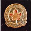 Image 1 : WWII APPLICANT FOR ENLISTMENT CANADA BADGE