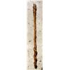 Image 1 : PETRIFIED WOOD CANE  APPROX 48"