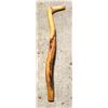 Image 1 : PETRIFIED WOOD CANE  APPROX 32"