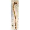 Image 1 : PETRIFIED WOOD CANE  APPROX 34"