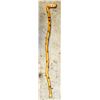 Image 1 : PETRIFIED WOOD CANE  APPROX 36"