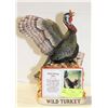 Image 1 : AUSTIN NICHOLS & CO WILD TURKEY 101 PROOF SERIES 2