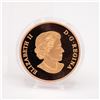 Image 3 : RCM 'CANADIAN: AN ALLEGORY' $3 BRONZE COIN 2013