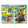 Image 1 : SPIDERMAN #22 & 45 BOOKS