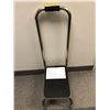 Image 1 : DMI - Foot Stool with Handrail