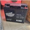 Image 1 : NEW Interstate 12v Battery SLA1116 Lead_Acid_Battery Retail $120