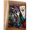 Image 2 : 50 PAIRS OF SCISSORS