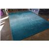 Image 2 : 8 X 10 FOOT PIER 1 IMPORTS AREA CARPET