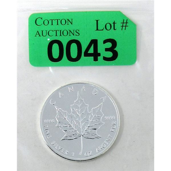 1 Oz. .9999 Silver 2013 Canadian Maple Leaf Coin