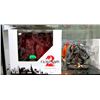Image 1 : Guild Wars Collector's Edition Statue with Box