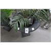 Image 2 : 2-Planter w/Faux Plants - 2 X $