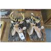 Image 1 : Plastic Deer Wall Décor  Note: One is broken