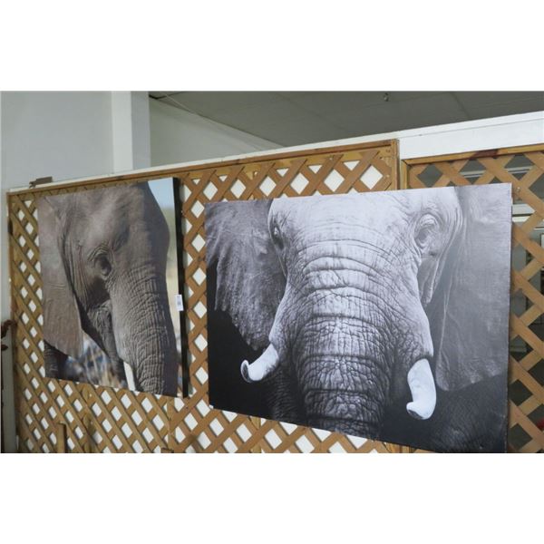 2-Elephant Prints - 48" x 36" - 2 X $