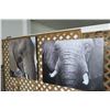 Image 1 : 2-Elephant Prints - 48" x 36" - 2 X $