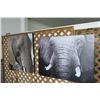 Image 1 : 2-Elephant Prints - 48" x 36" - 2 X $