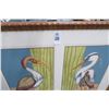 Image 2 : Sand Hill Crane Framed Print 42" x 35"