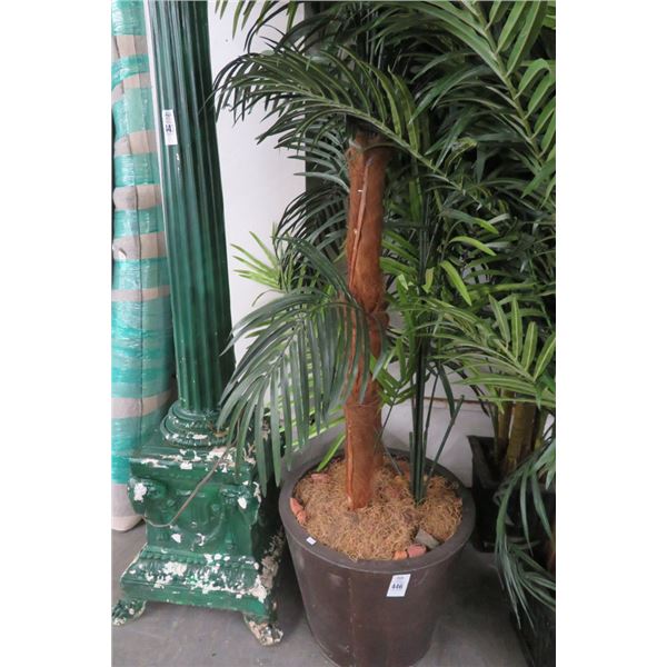 2-Large Potted Palm - 2 X $