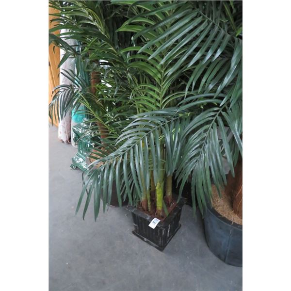 2-Potted Palms - 2 X $