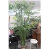 Image 1 : Large Faux Bamboo Tree