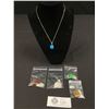 Image 1 : Lot of 5 Gemstone Free Form Necklaces With Chains