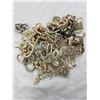 Image 1 : Large Lot of Vintage Collectible Shell Jewellery Including Bracelets, Necklaces, Etc.