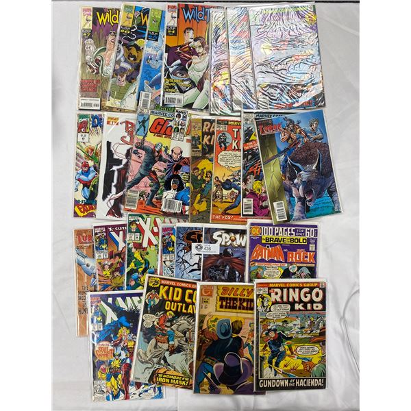 More Than 25 Comics, Most on Board in Bag