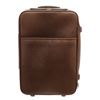 Image 1 : Louis Vuitton Brown Leather Pegase 55 Travel Bag