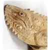 Image 6 : Indonesian Hand Carved Chinaberry Wood Iguana