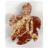 Image 9 : Hand Carved Jasper Sea Turtle