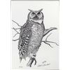 Image 2 : Signed and Numbered Owl Print by Claude Randall