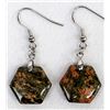 Image 1 : Unakite Earrings