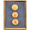 Image 1 : 3 Republic of Texas Brass Buttons