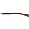 Image 2 : US Springfield Model 1873 Rifle w/ Bayonet