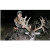 Image 1 : Texas, USA  2 Hunters for 3-Day Combo Whitetail & Exotic Hunt