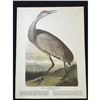 Image 2 : c1946 Audubon Print, #261 Sandhill Crane