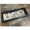 Image 1 : Prehistoric Predator Fish Fangs, Fossils