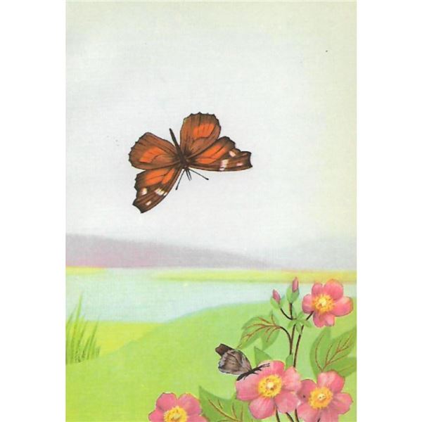 1920's Snout Butterfly Color Lithograph Print