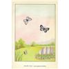 Image 2 : 1920's Silvery Blue Butterfly Color Lithograph Print