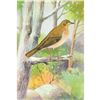 Image 1 : 1920's Veery Color Lithograph Print