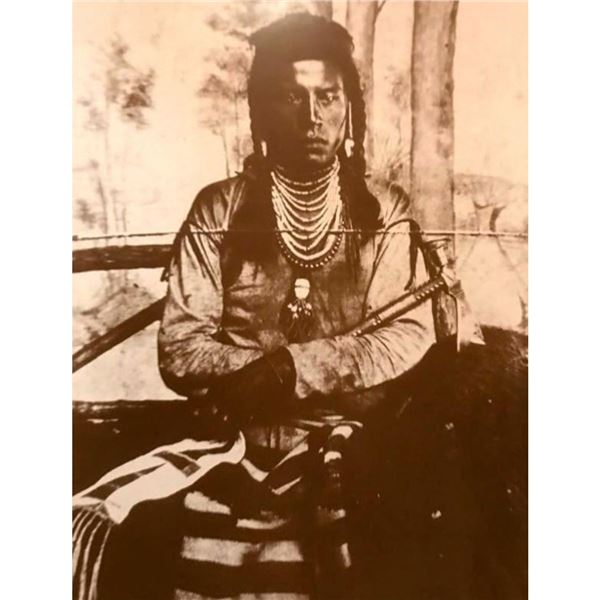 Native American History, Custer's Scout Curley Photo Print