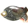 Image 1 : Prehistoric Ammonite Fish Tray