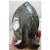 Image 3 : Prehistoric Ammonite Fish Tray